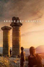 About Dry Grasses 2023